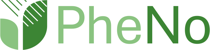 PheNo logo
