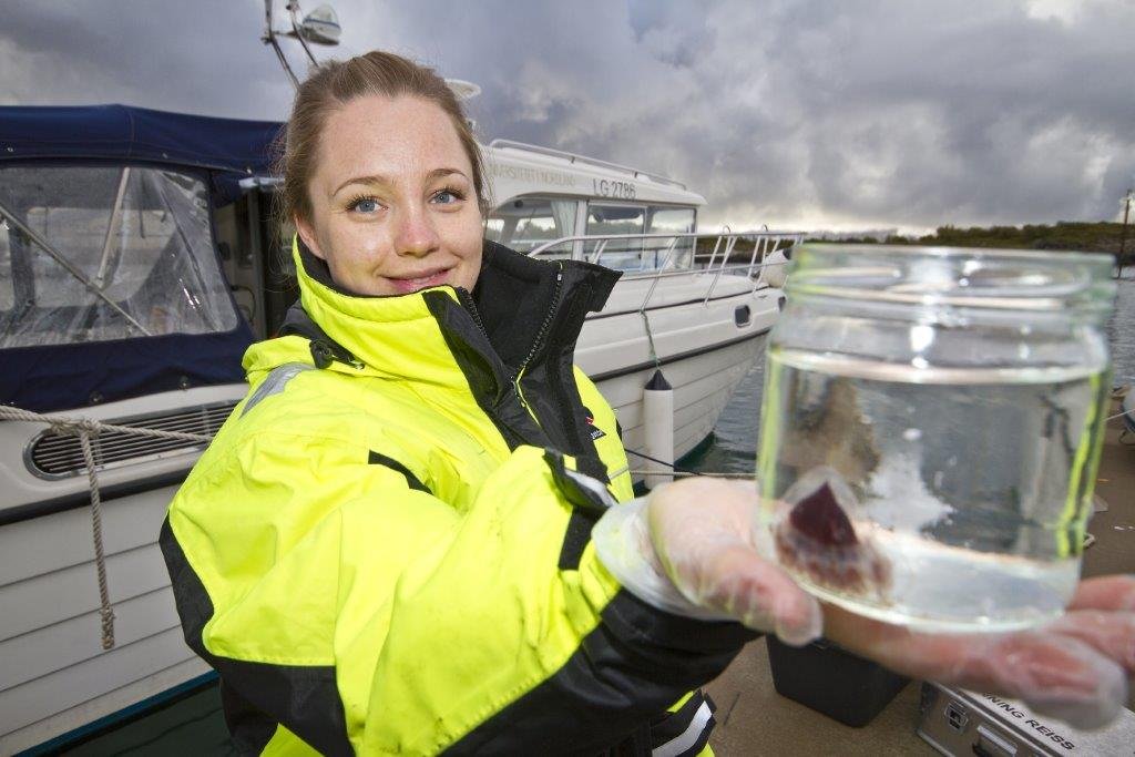 North SciComm company logo